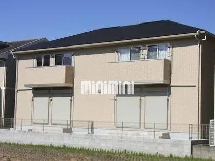 キャッツAの画像