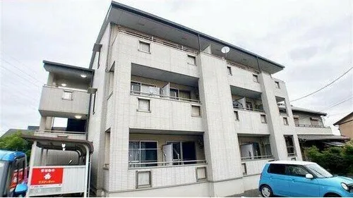 グレイスの画像