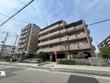 レジェンダリー小松の画像
