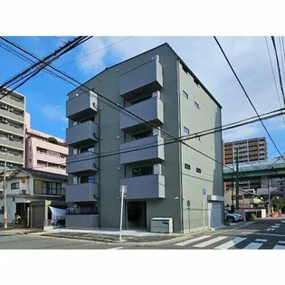 SUGARLOAF PARK花の木の画像