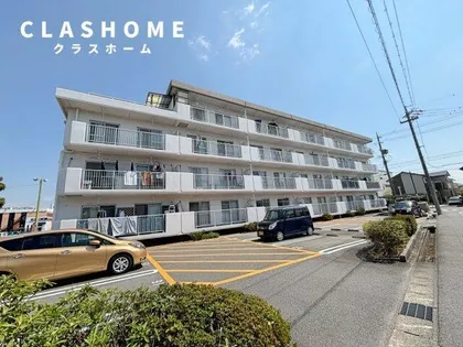 パレスサンライトの画像