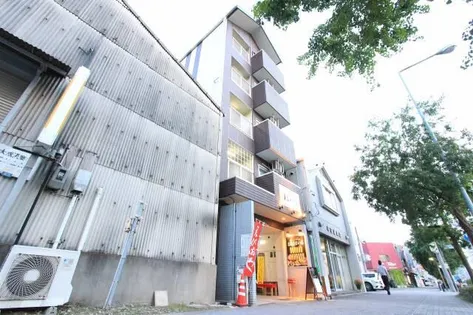 ロイヤルヒルズ花の木の画像