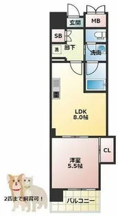 マスターズレジデンス道頓堀Ⅲ【6階】の間取り