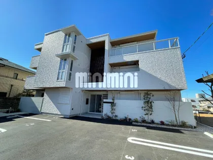 ベラ コリナの画像