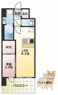 セレニテ十三ミラク【7階】の間取り