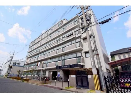 グレイシィーK Yの画像