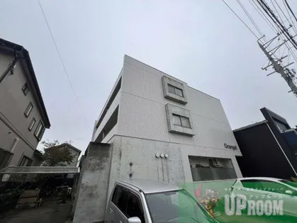 オレンジの画像