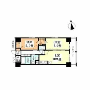 アネスト北堀江【503号室】の間取り