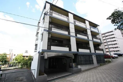 ヴィヴィアン名東本通【203号室】の外観