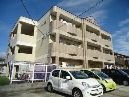 セフティ上坂の画像