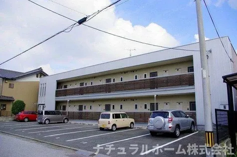 サングレイスの画像