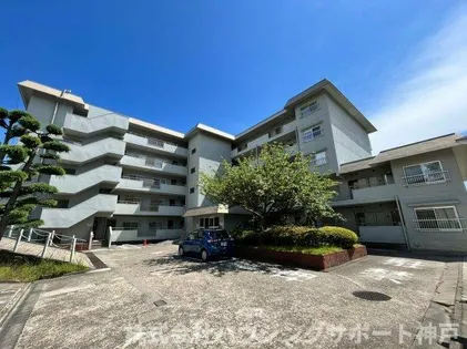 上高丸コーポラスの画像