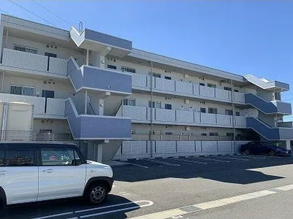 ブランドールの画像