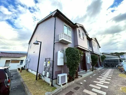 コモド アビターレの画像