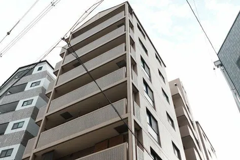 アンバーコートの画像