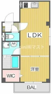 グラシア西九条【3階】の間取り