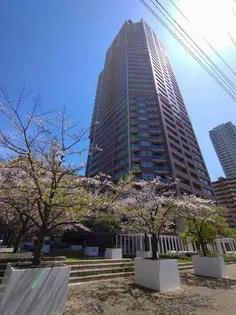上本町ヒルズマークの画像