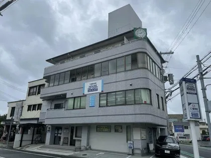 ソフィア辻井の画像
