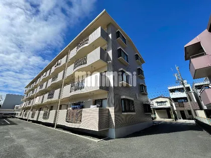 胡蝶羽根井の画像