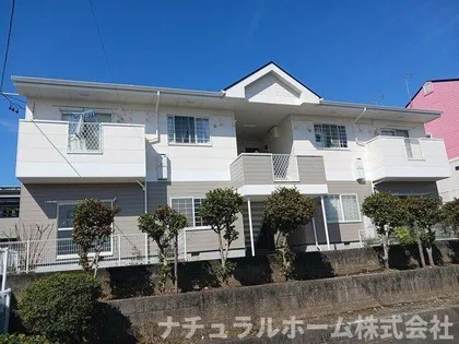プラドールA2の画像
