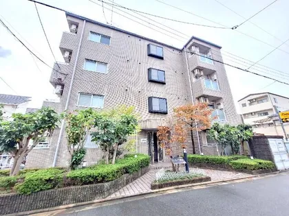 ピノルース高瀬の画像