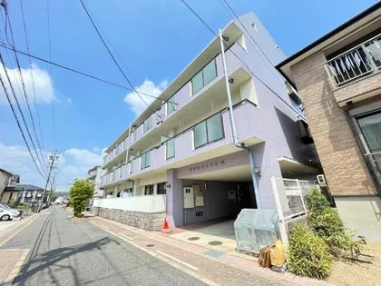 アビタマルフクIIIの画像