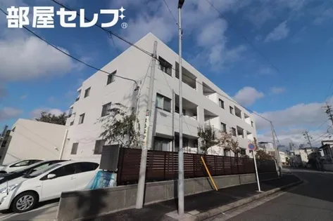 カーササクラの画像