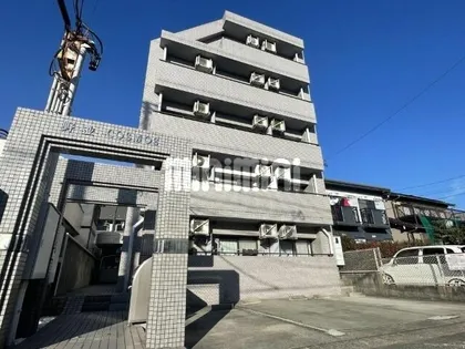 野並COSMOSの画像