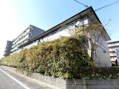 エクセル南茨木の画像