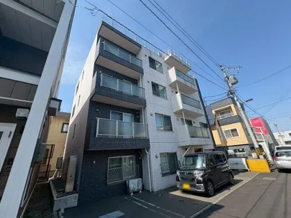 大白桜55の画像