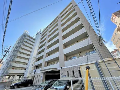 WILLDO金山正木の画像