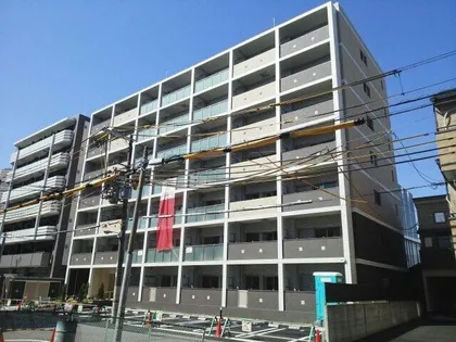 プリムローズ エレガントの画像