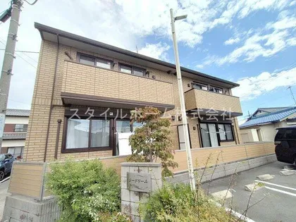 シードリームの画像