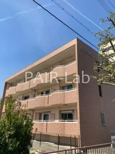 コスモコートの画像