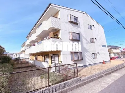 メリーメリーAの画像