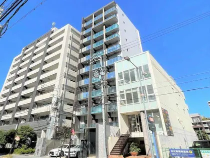 HIBINO RISE【8階】の外観