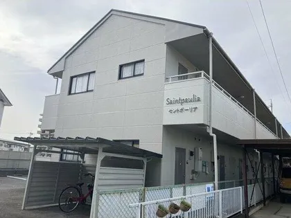 セントポーリアの画像