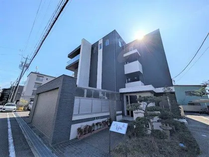 SKY Eつげの木の画像