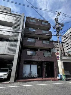ハイツキンリュウの画像
