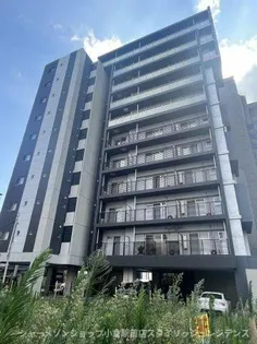 GALA PLATINUM COURTの画像