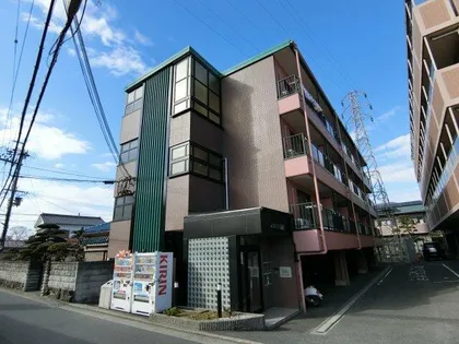 エムス金剛の画像