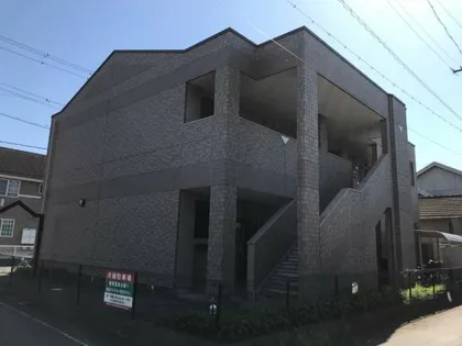 グリーンティアラの画像