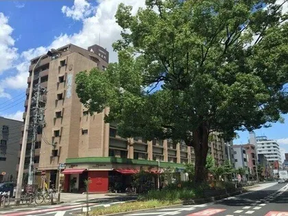 橦木ビル【5階】の外観