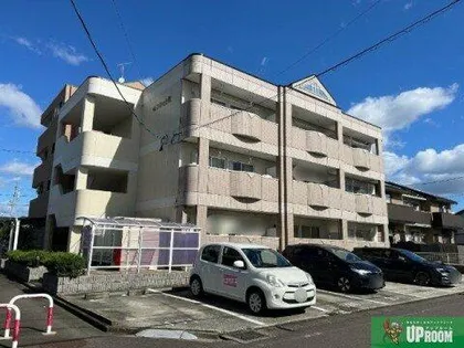 セフティ上坂の画像