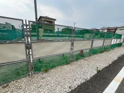 マヒナの画像