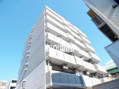 ユトエール花の木の画像