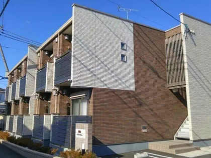 ミランダクオーレの画像