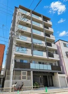 KAUNIS LUSSOの画像