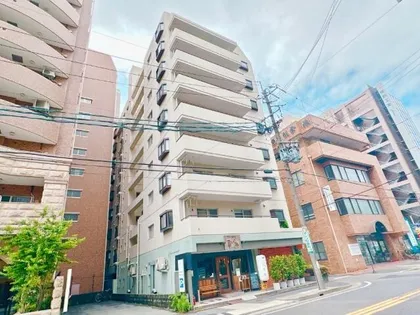 リバーパークヴィレッジ【4階】の外観