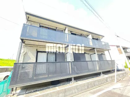 ピアチェーレの画像